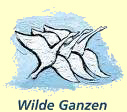 Wilde Ganzen